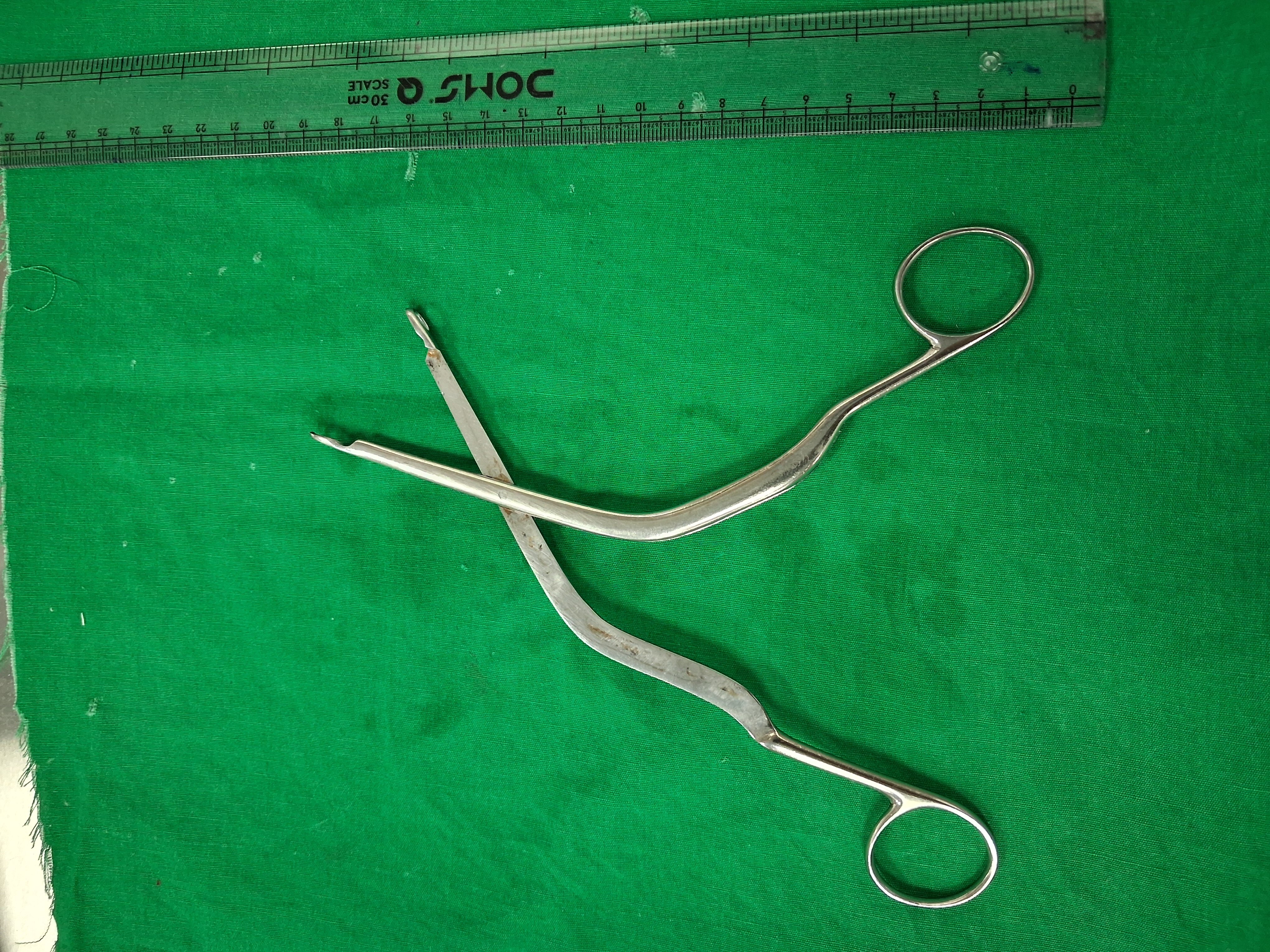 LUC TURBINATE NASAL FORCEPS.